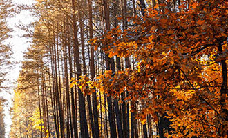 视频号与抖音爆款精选！随拍及剧情案例分享，点赞量惊人