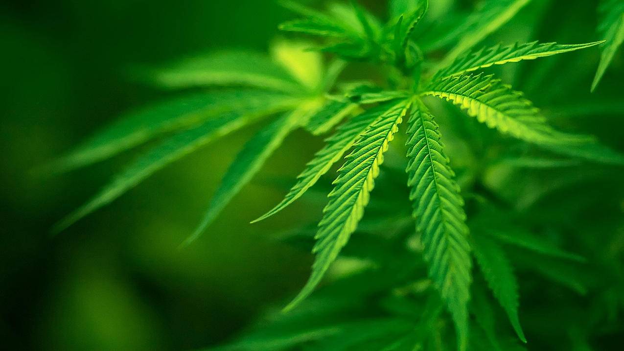 快手买热度链接_快手买热门有用么_快手买热门会影响什么嘛