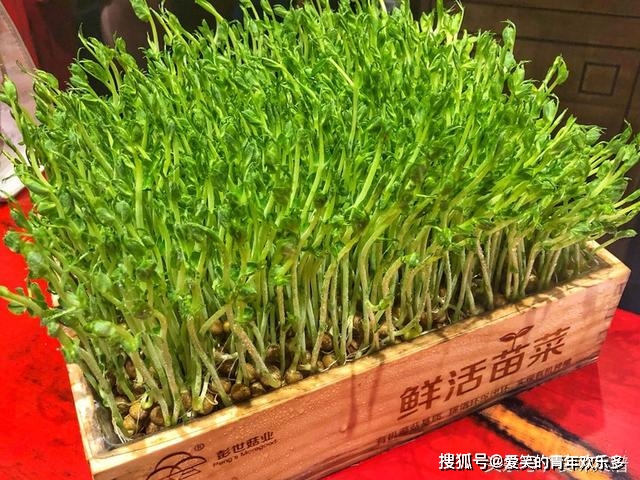 抖音视频在线下单_抖音业务24小时在线下单_抖音作品双击在线下单