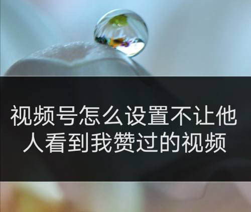 快手得钱_快手买站一块钱100_快手买币有便宜的吗
