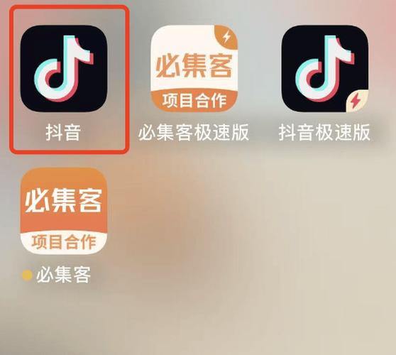 抖音不同版本功能对比_抖音生态系统_抖音低价二十四小时下单平台