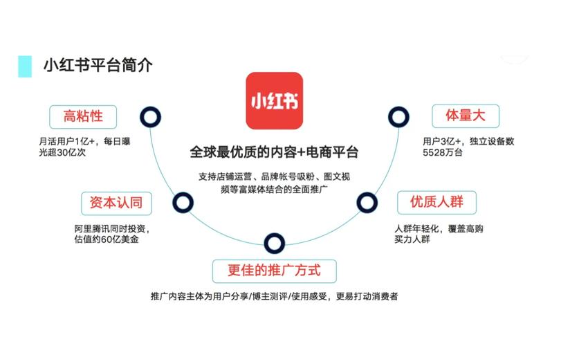 小红书运营技巧_快速涨粉方法_小红书爆款文案技巧